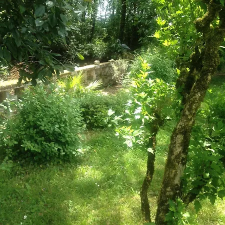 Bed & Breakfast Du Calme 3 Star Cognac