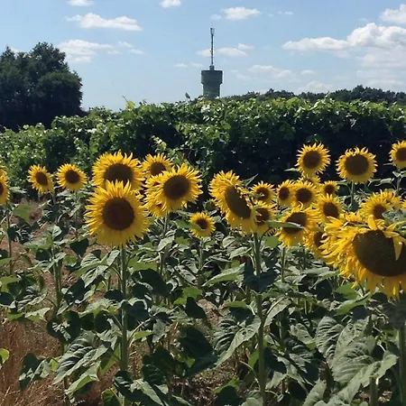 Nocleg ze śniadaniem Du Calme 3 Star Cognac 3*
