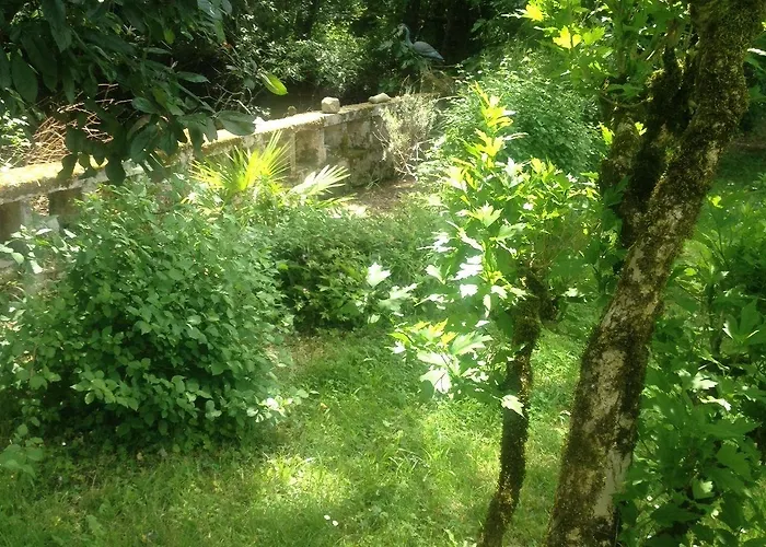 Bed and breakfast Du Calme 3 Star Cognac